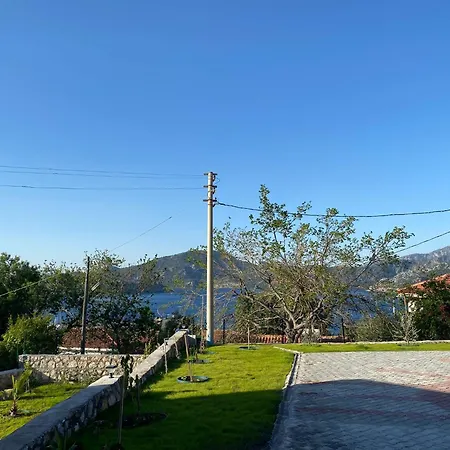 Nirvana Selimiye Daily Weekly